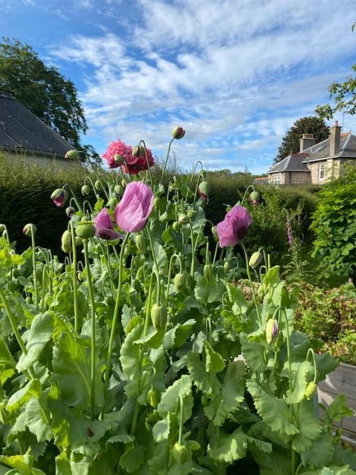 Glenburn, Fochabers Ngoại thất bức ảnh
