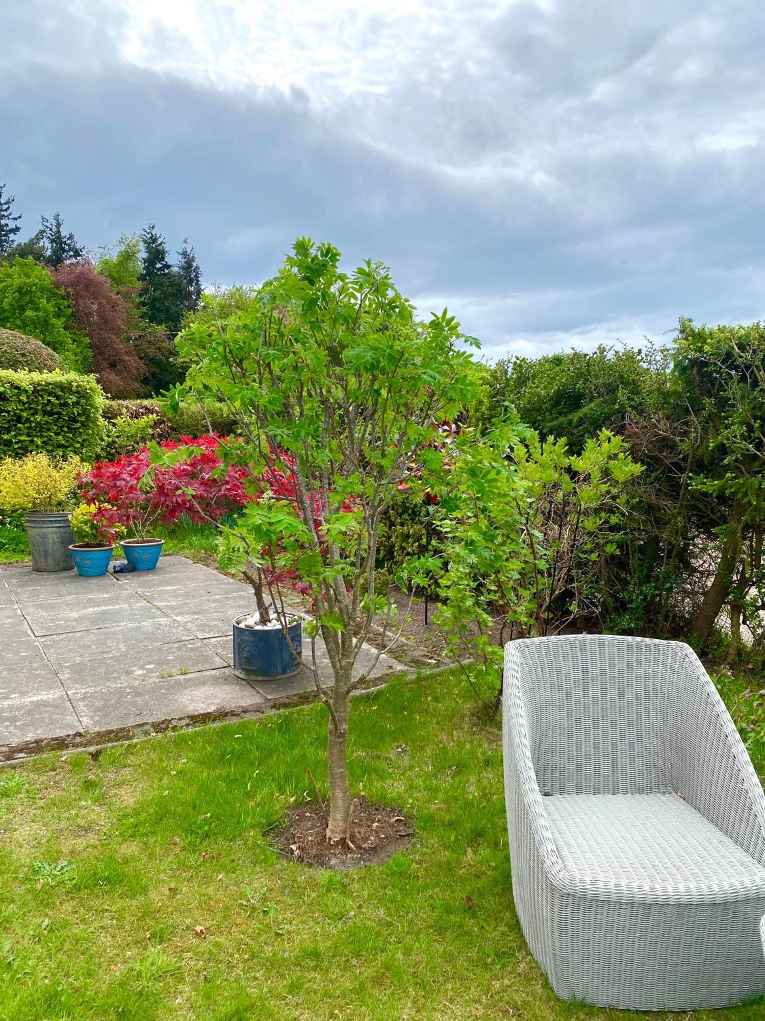 Glenburn, Fochabers Ngoại thất bức ảnh